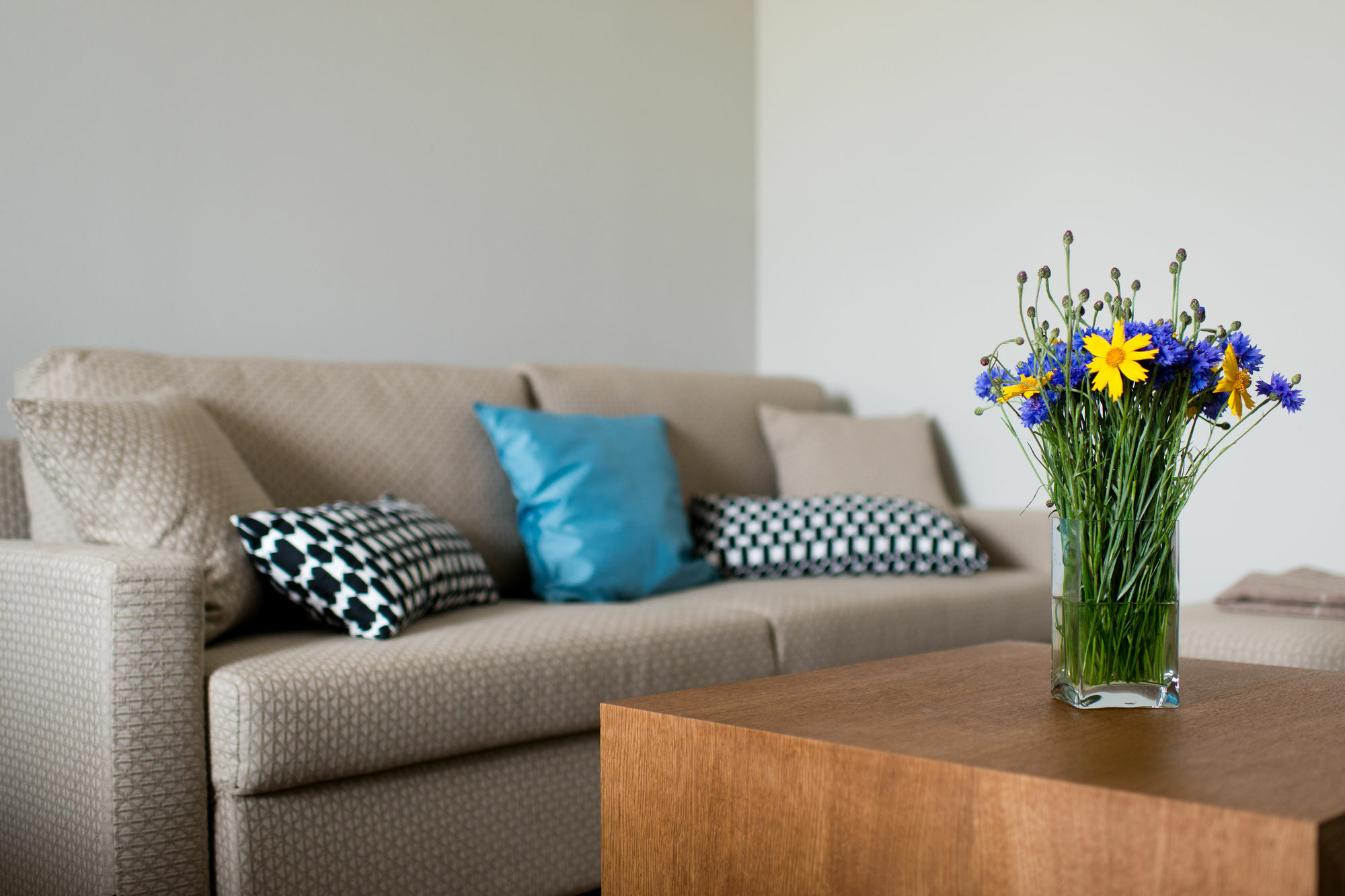 Palanga Visit Apartments And Spa Apartment Palanga