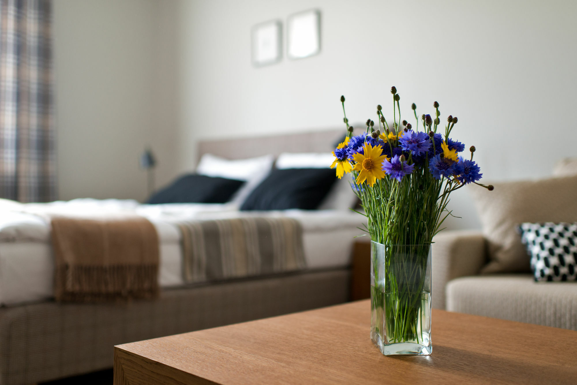 Palanga Visit Apartments And Spa * Palanga