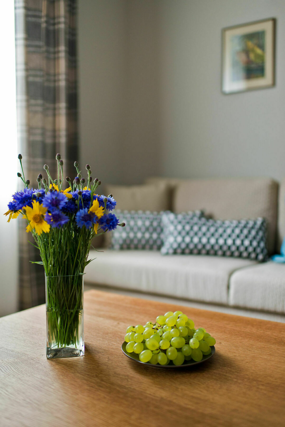 Palanga Visit Apartments And Spa